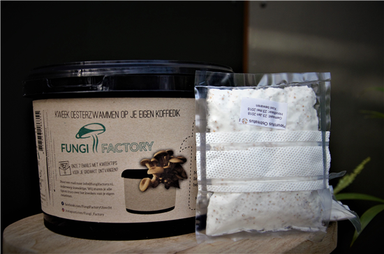 Oesterzwammen kweken op koffiedik